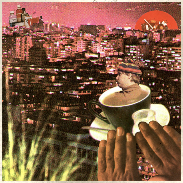 silk lizard cover art