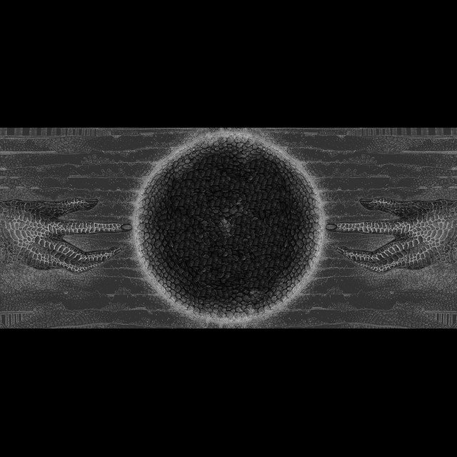 Song of the Flight cover