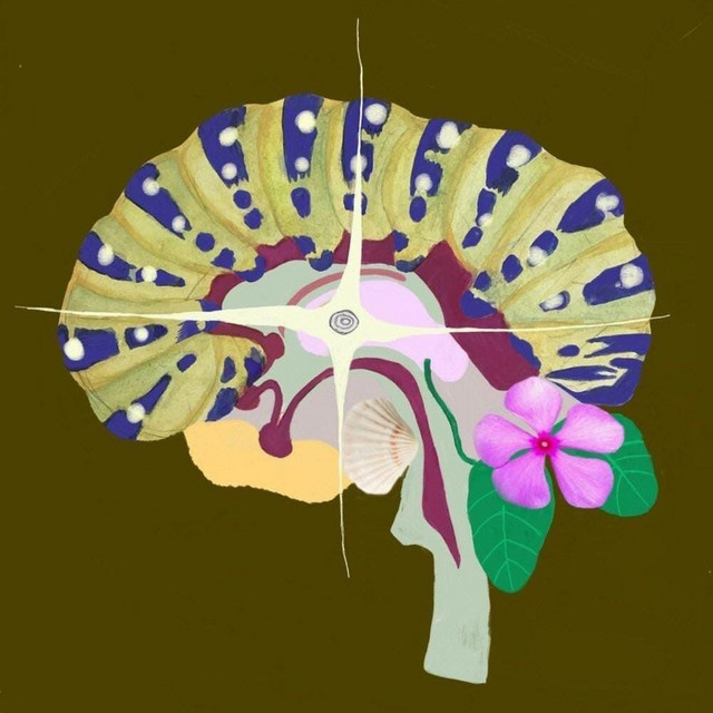 Jardín cover art