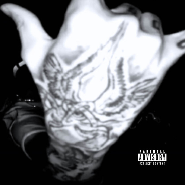 YV cover art