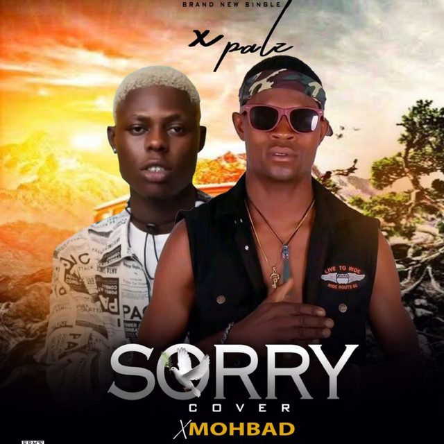Sorry Cover