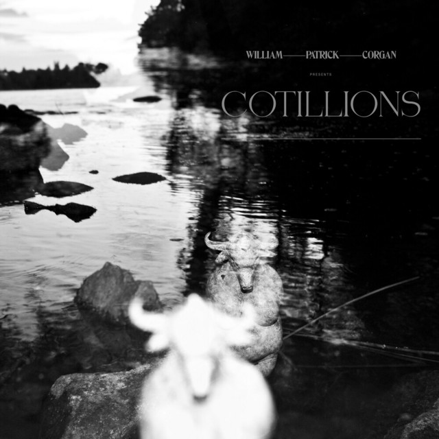 Cotillions cover art