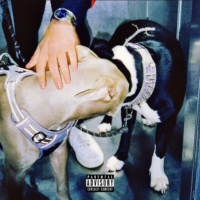 AMOR FATI cover art