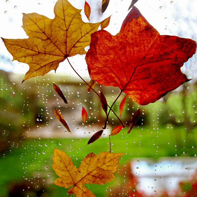 2020 January Essential Rain Relaxation Mix cover art