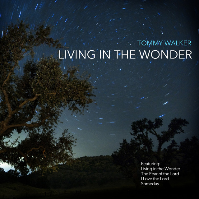Living in the Wonder cover art