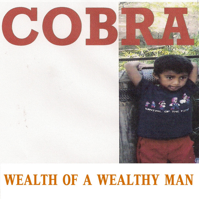 Wealth of a Wealthy Man cover art
