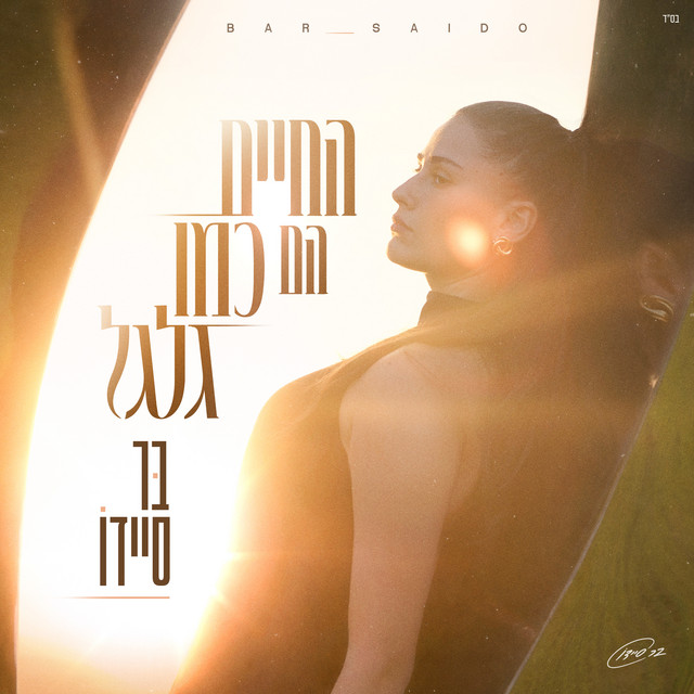 החיים הם כמו גלגל