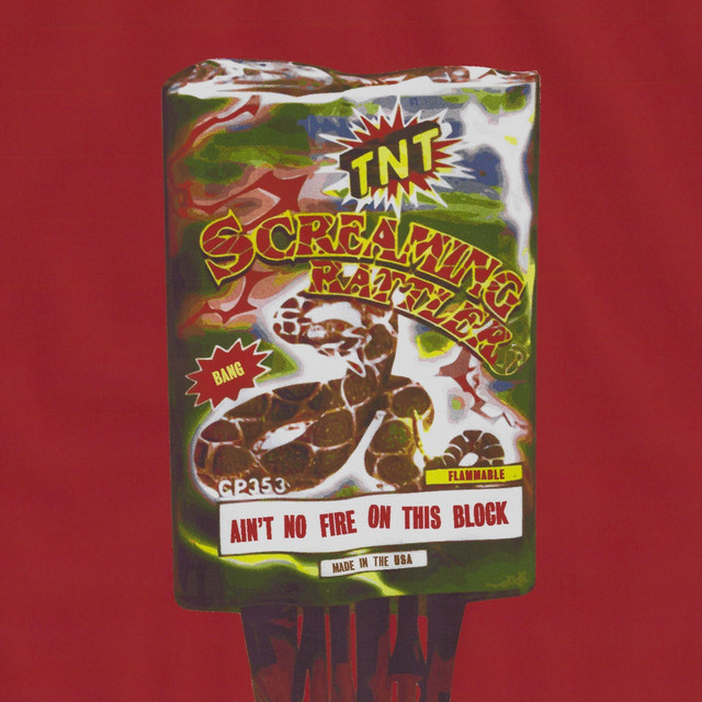 Ain't No Fire On This Block cover