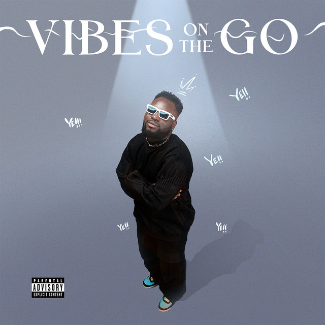 Vibes On The Go cover art
