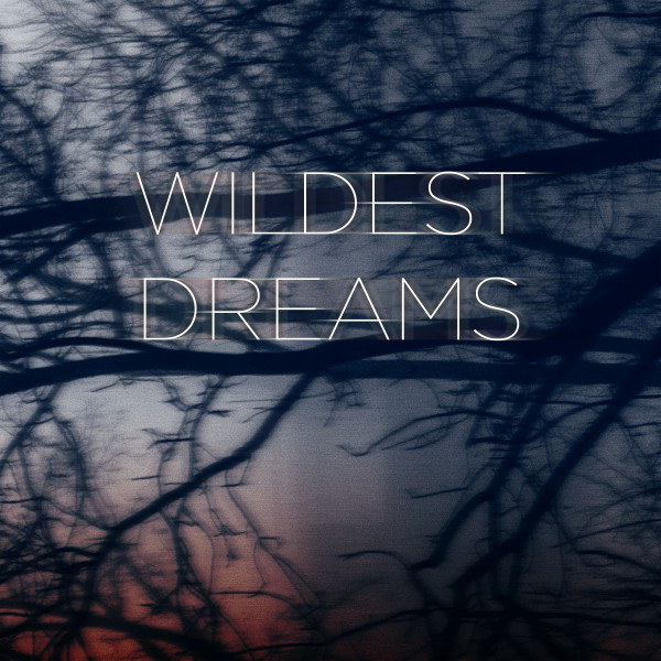Wildest Dreams cover art