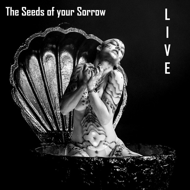 The Seeds of Your Sorrow (Live @ Radiokulturhaus) cover
