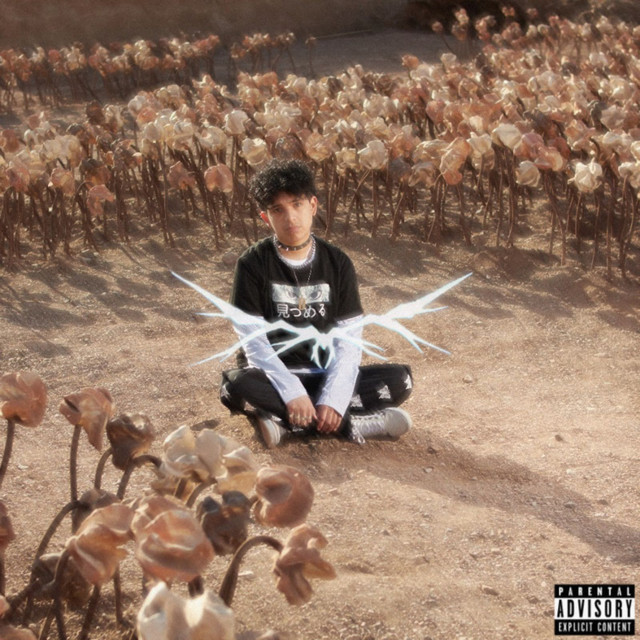 RAREPI'S ANTIDEPRESSANT cover art