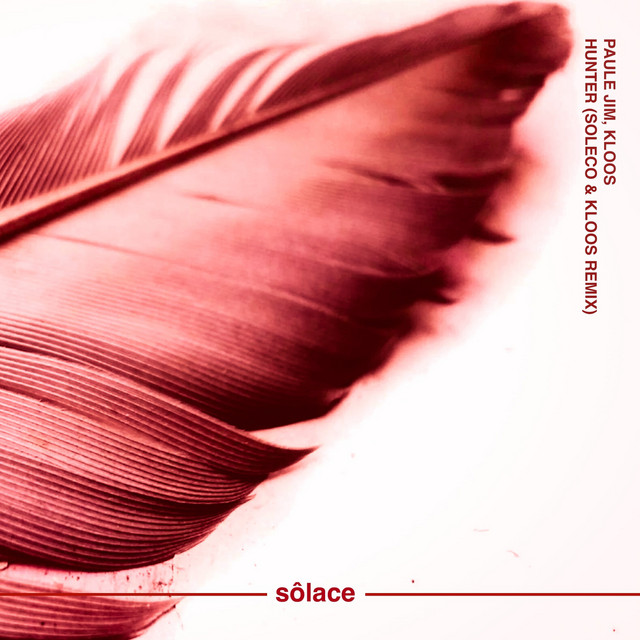 Hunter - SOLECO & Kloos Remix