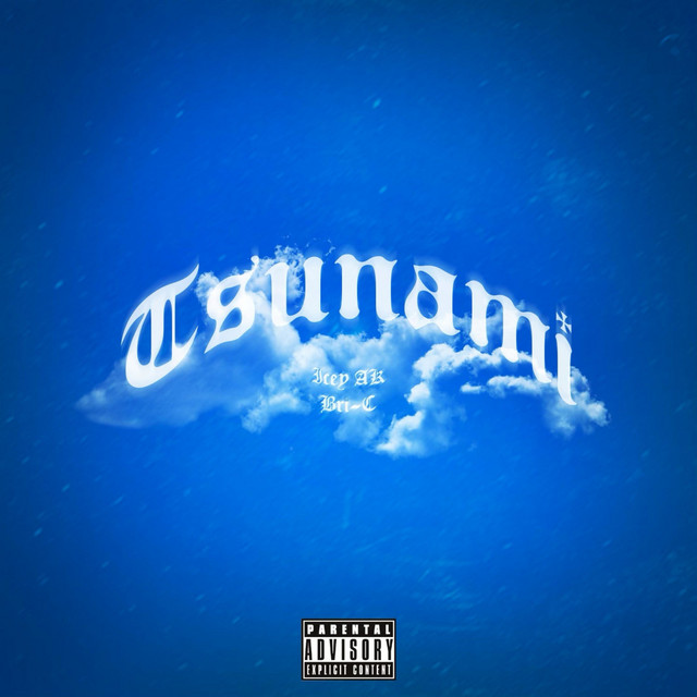 Tsunami - song and lyrics by Icey AK, Bri-C | Spotify