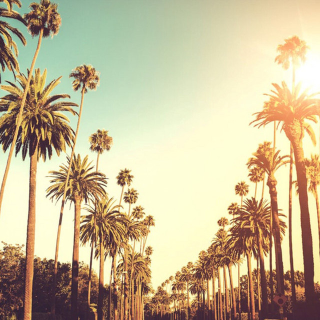 LA cover art