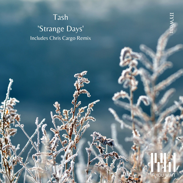 Strange Days album art