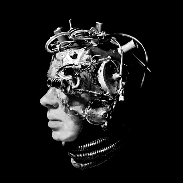 FMD cover art