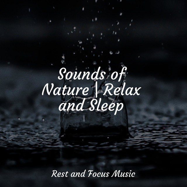 Sounds of Nature | Relax and Sleep - Album by Deep Sleep Meditation ...