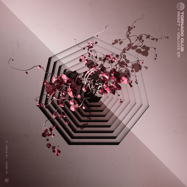 Reset cover art