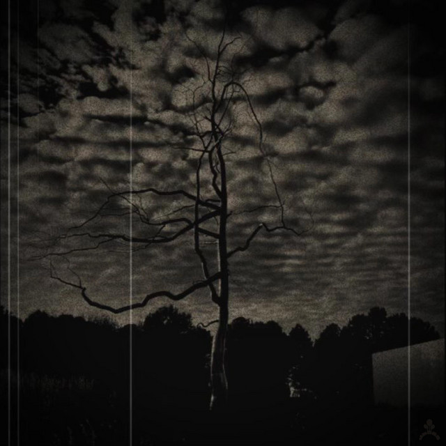 FOG3 cover art