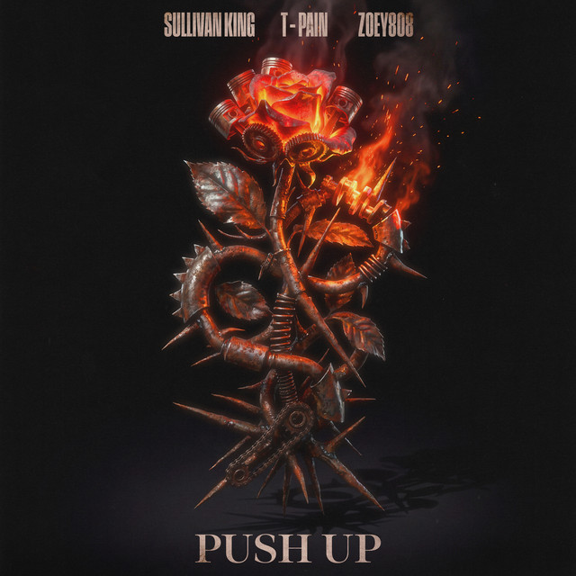 Push Up cover art