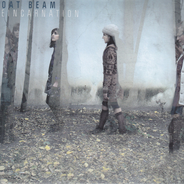 Reincarnation cover art