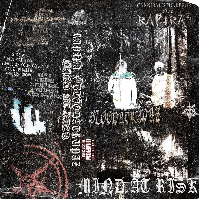 MIND AT RISK cover art