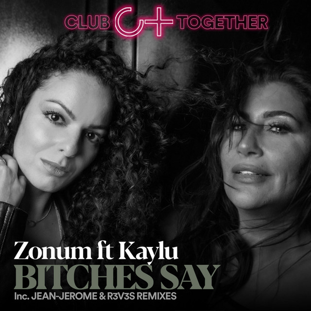 Bitches Say cover art