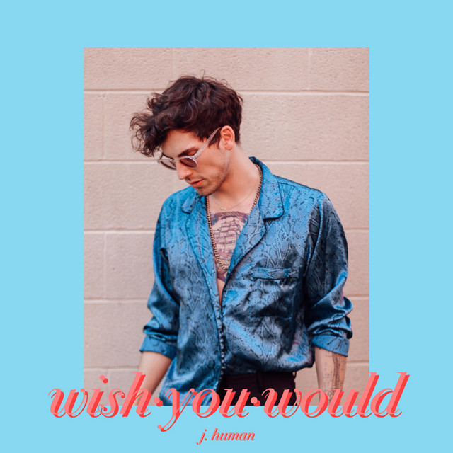 Wish You Would
