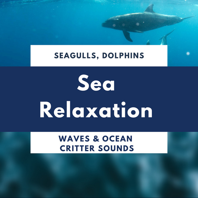 Sea Relaxation - Seagulls, Dolphins, Waves cover art