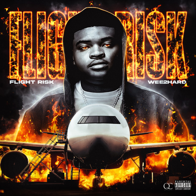 Flight Risk cover art