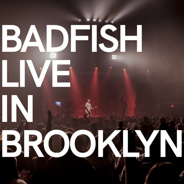 Live in Brooklyn cover art