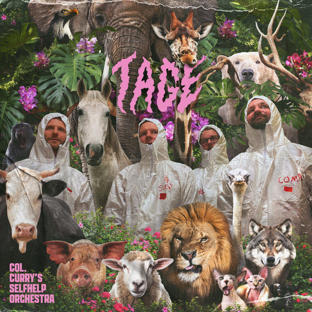 album image