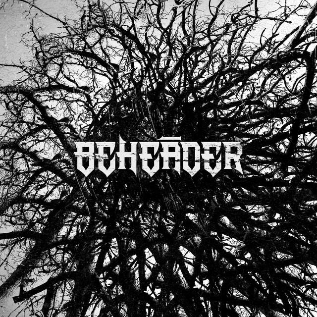 PLEØNASM cover art
