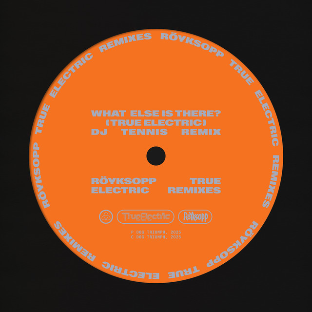 What Else Is There? - DJ Tennis Remix