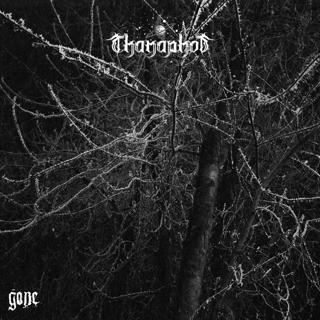 Gone cover