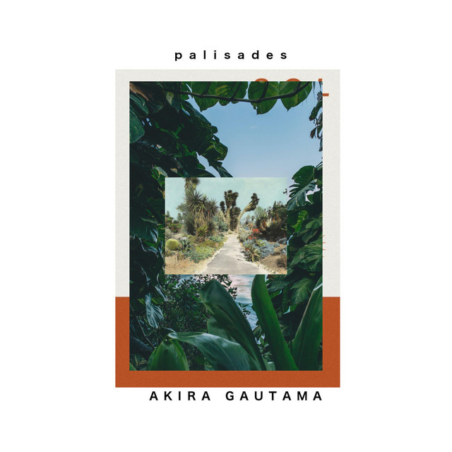 Palisades cover art