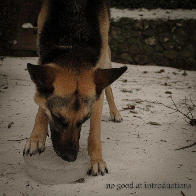 no good at introductions cover