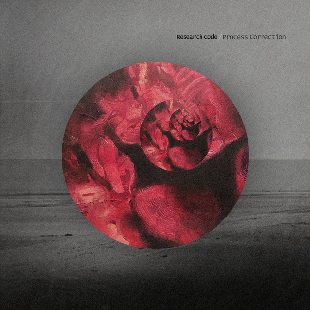 Process Correction cover art