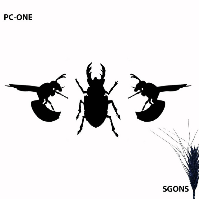 Sgons cover art