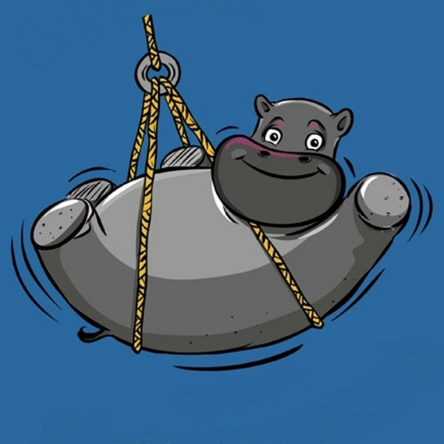 Lift a Hippo cover