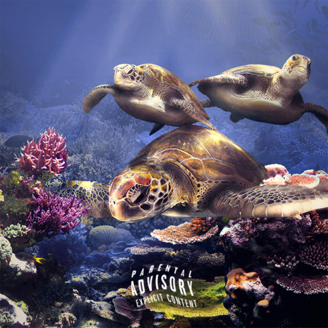Just Keep Swimming