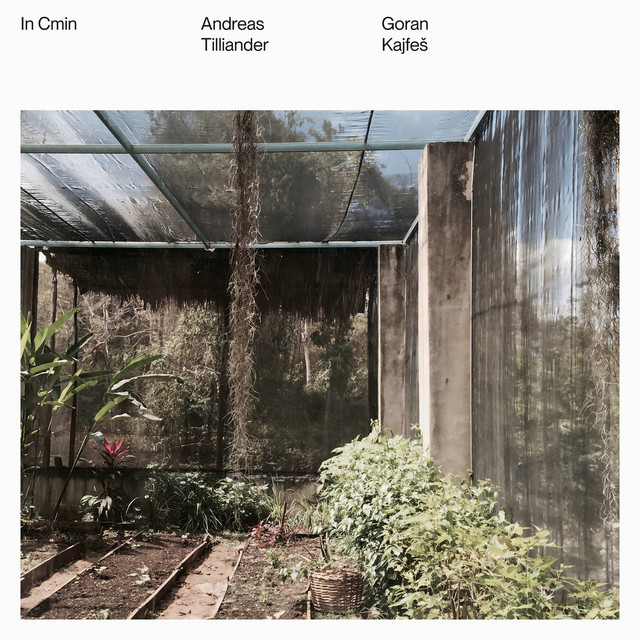 In Cmin cover art