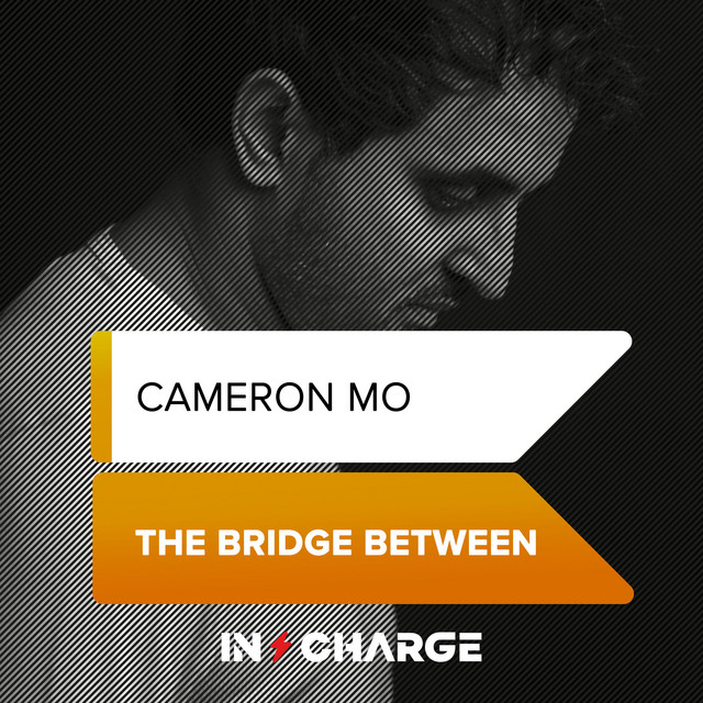 The Bridge Between - Extended Mix album art