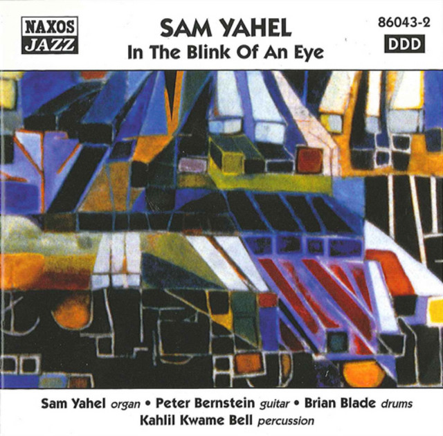 Yahel, Sam: In the Blink of an Eye cover art