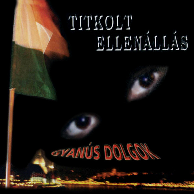 Gyanús dolgok cover art