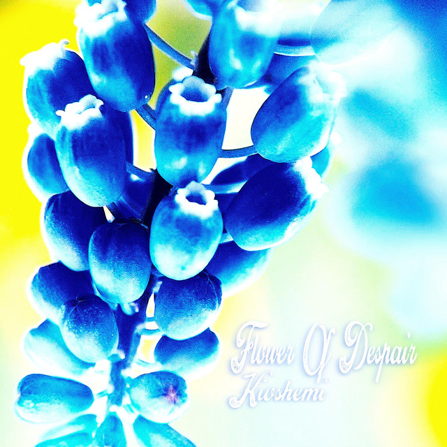 Flower Of Despair cover art