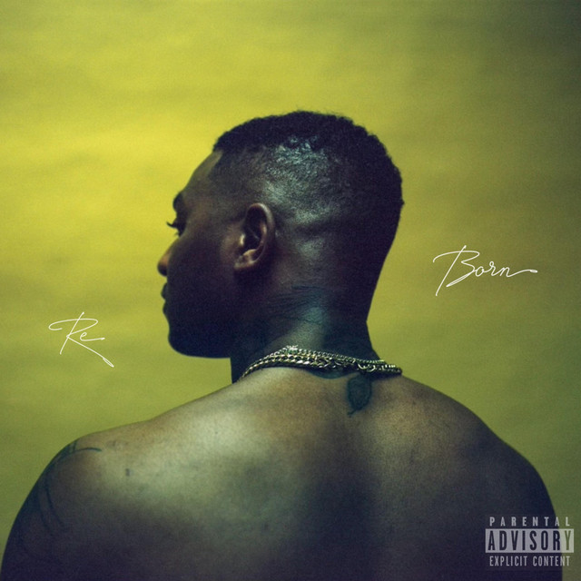 Reborn cover art