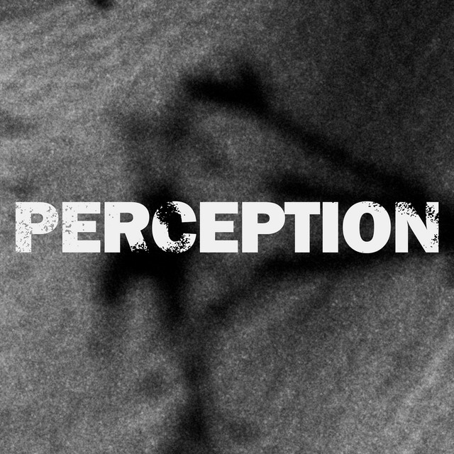 Perception cover art
