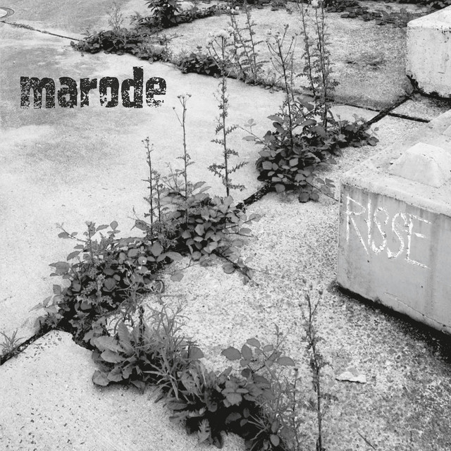 Risse cover